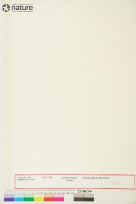 Tephroseris yukonensis