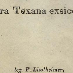 Myriopteris lindheimeri