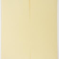 Boerhavia linearifolia