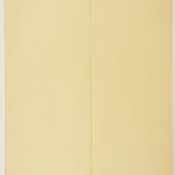 Crusea Schltdl. & Cham.