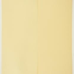 Schoenocaulon texanum