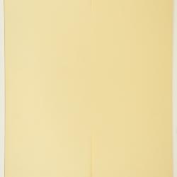 Ctenanthe burle-marxii