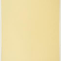 Ctenanthe burle-marxii