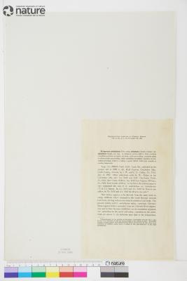 Eriogonum umbellatum