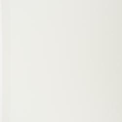 Physematium scopulinum