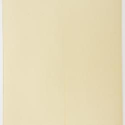 Koenigia lapathifolia