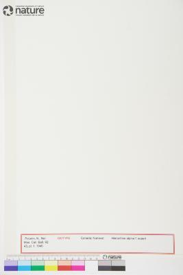 Anthoxanthum monticola