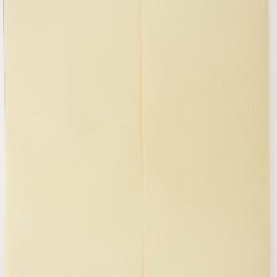 Erigeron alpiniformis