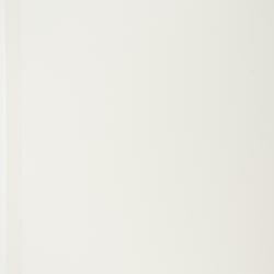 Potamogeton spathuliformis