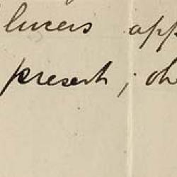 Potamogeton spathuliformis