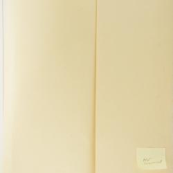 Cylindropuntia multigeniculata