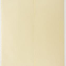 Pseudognaphalium macounii