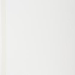 Rhynchospora aristata