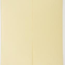 Hieracium microcephalum