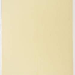 Cerastium beeringianum