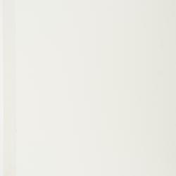 Physematium scopulinum