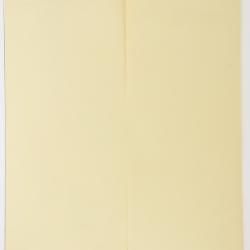 Metastelma barbigerum