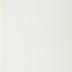 Polystichum andersonii