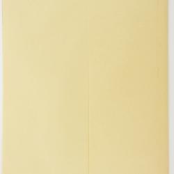 Hieracium pseudodenticuliferum