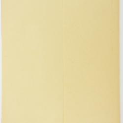 Hieracium floccimarginatum