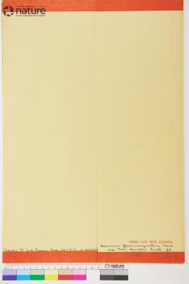 Hieracium floccimarginatum