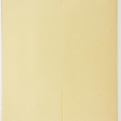 Hieracium umbellatum