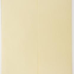 Picradeniopsis pringlei