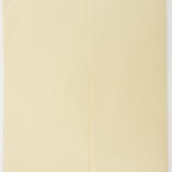 Amsinckia lycopsoides