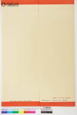 Gentianopsis macounii