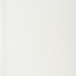 Physematium scopulinum