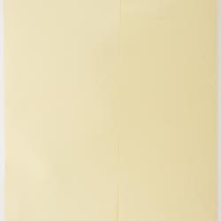 Carex saxilittoralis