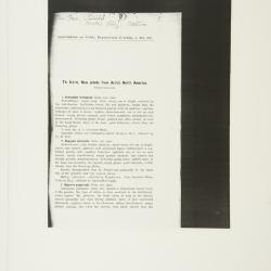 Arctophila (Rupr.) Andersson