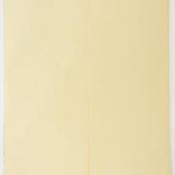 Senna lindheimeriana