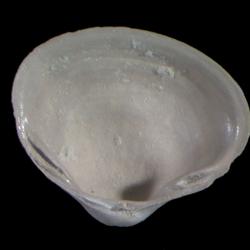 Sphaerium Scopoli, 1777