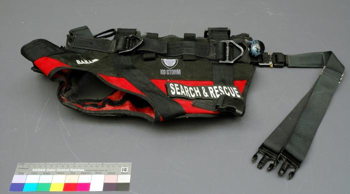 Image from Baillie, the K9 search and rescue dog from Alberta